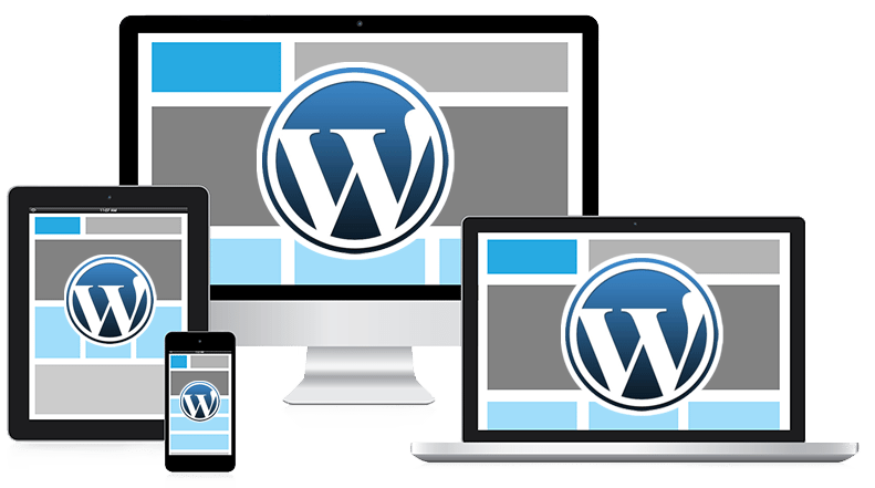 WordPress Developer – Digital Sales
