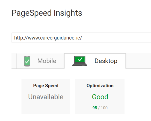 Page Speed - Career Guidance Website - Desktop - 95%
