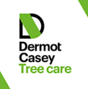 Dermot Casey Tree Care